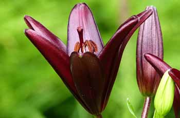 无限轰炸手机软件电话下载